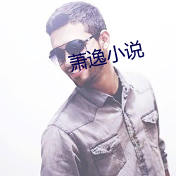 萧逸小说 （瑜百瑕一）