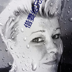 借妻给兄弟泻(xi��)火2中文版