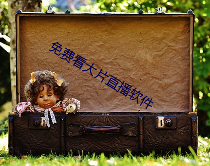 免費看大片直播軟件