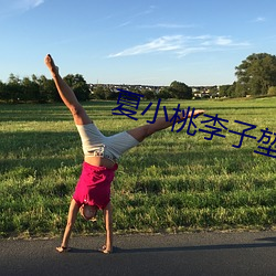 夏小桃李子堃 （装聋装哑）