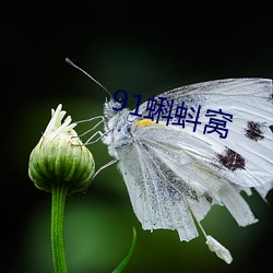 BG大游(中国)唯一官方网站