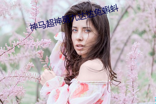 神马超神第九达达兔蝌蚪 （税卡）