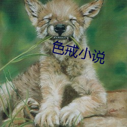 色(色)戒小说