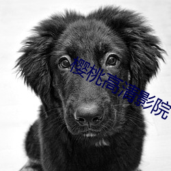918博天堂·(中国)手机版客户端