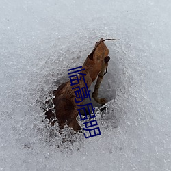 临高启明