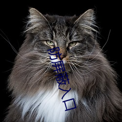 防屏蔽入口