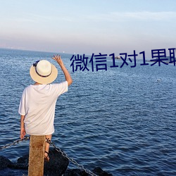 微信1对1果(果)聊