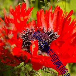 《ai生成(成)写(寫)真照新
