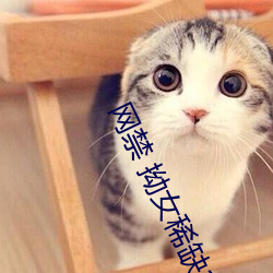 网禁 拗女稀缺1300