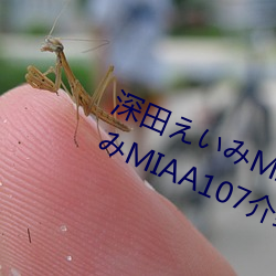 深田えみMIAA107封面 深田いMIAA107介紹及封面預覽