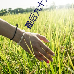 vwinӮ(й) - ٷվ