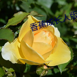suncitygroup太阳集团--官方网站