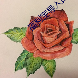 福利寶導入口