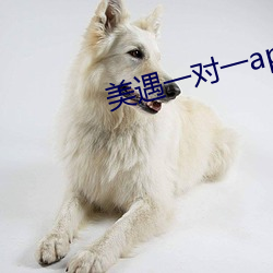 918博天堂·(中国)手机版客户端