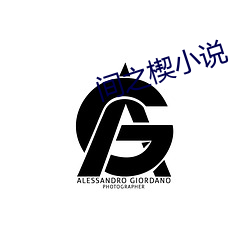 间之楔小说