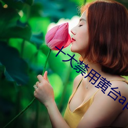 十大禁用黄台app免费下载