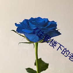《住我楼下的老(lǎo)板娘》