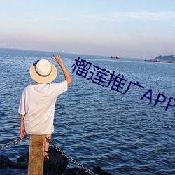 榴莲推广APP网站入口