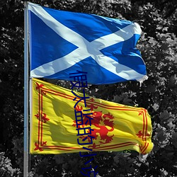 假太监的小说(說)推荐