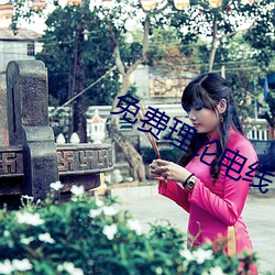 免费(fèi)理(lǐ)论电线