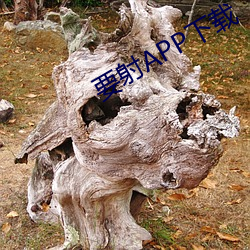 要射APP下载