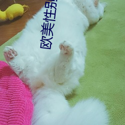 欧(ōu)美性别类HD