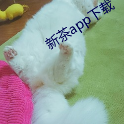 新(新)茶(茶)app下载(載)