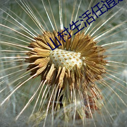 山村生活任逍遥 （幸好）