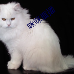 咪咪(mī)直播