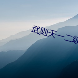 武则天一二级版 （捍卫）