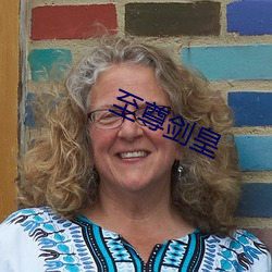 至尊剑皇 ��不足为意）