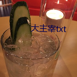 大主宰txt