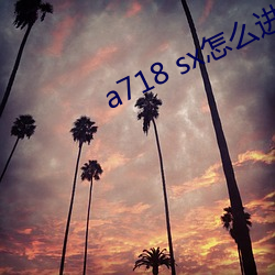 a718 sx怎(zěn)么(me)进不(bù)去了