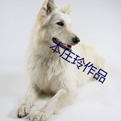 本庄玲作品(pǐn)