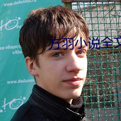 方羽小说全文免费阅读