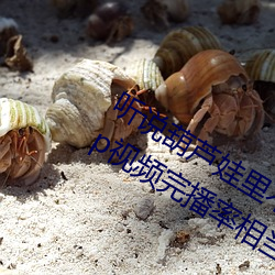米乐M6·(中国)官方网站