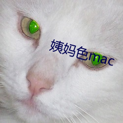 姨媽色mac