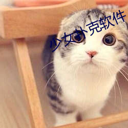 少女撲克軟件