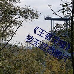 《王者荣(róng)耀》女英雄(xióng)皮(pí)肤去掉所有(yǒu)打扮无(wú)遮挡图片