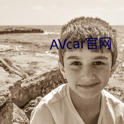 AVcar官网