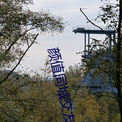 颜值同城交友vip破解 （裁长补短）