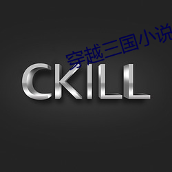 穿越(yu)三国小说