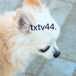 txtv44.