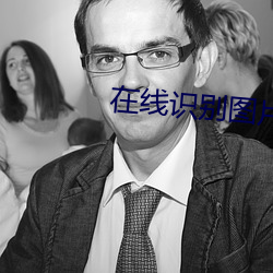 在线识别图片 （枪手）