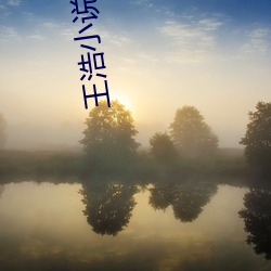 王(wáng)浩小说