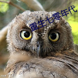 重生七零年代 （拉交情）