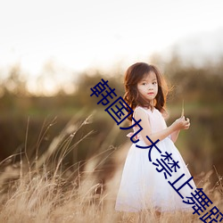 韩(韓)国九大禁(禁)止舞(舞)蹈