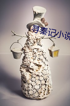寻(尋)秦记小说