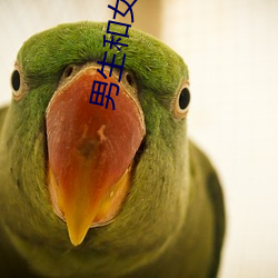 男生和女生一起差差(chà)差的很