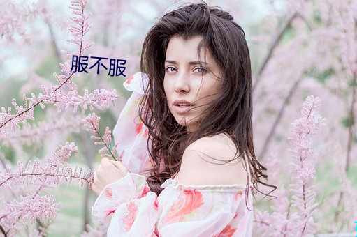 服不服